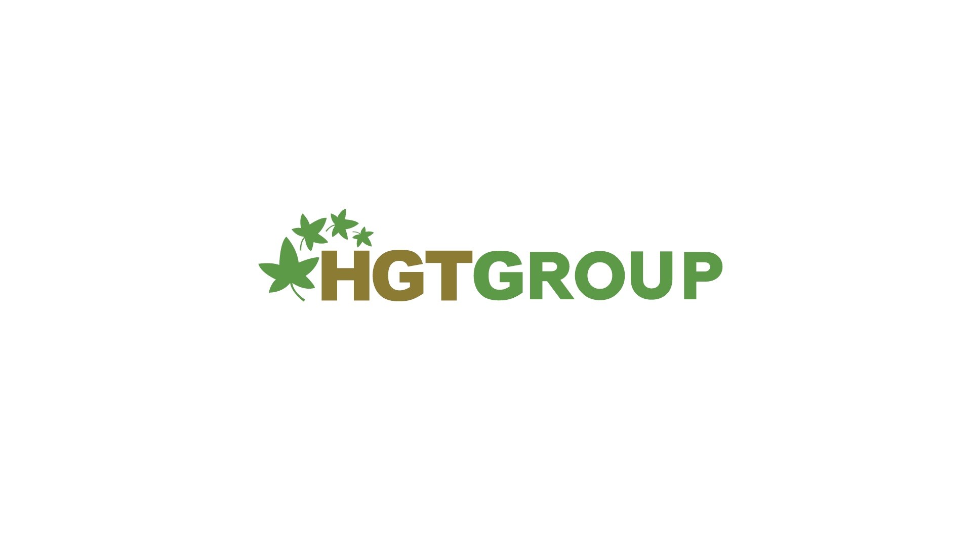 HGT GROUP ÜRETİM TESİSİ